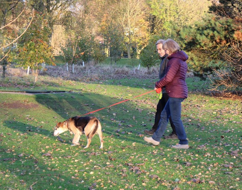 My Mother and Father in Beacon Park Lichfield, Walking the Dog, wearing new jackets from Simply Hike