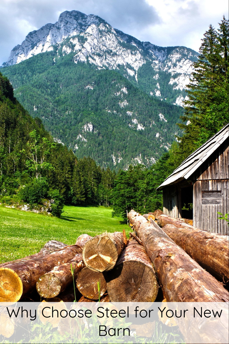 Why Choose Steel for Your New Barn