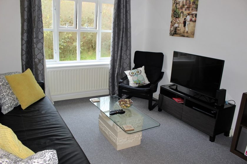 Park House Owl Apartments - Living Room