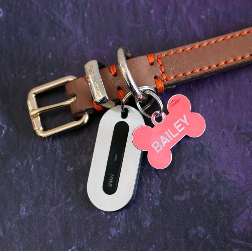 MYNT Tracker Attacked to Sally's Collar