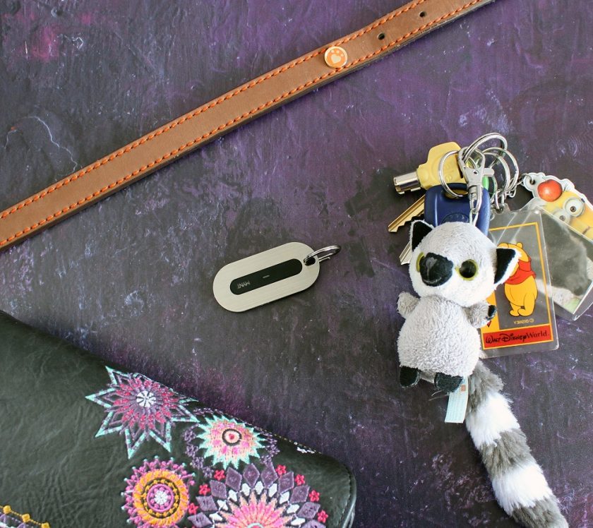 MYNT Tracker Surrounded by ideas to use it with - keys, purse and dog collar