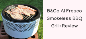 B&Co Al Fresco Smokeless BBQ Grill Review