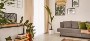 Light and Bright Living Area Including Sofa and Plants