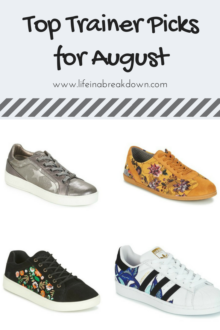 Top Trainer Picks for August