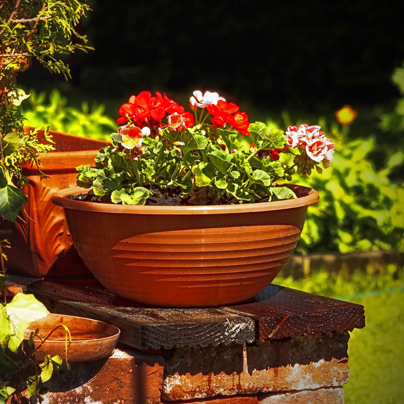 How to Make More of Your Garden