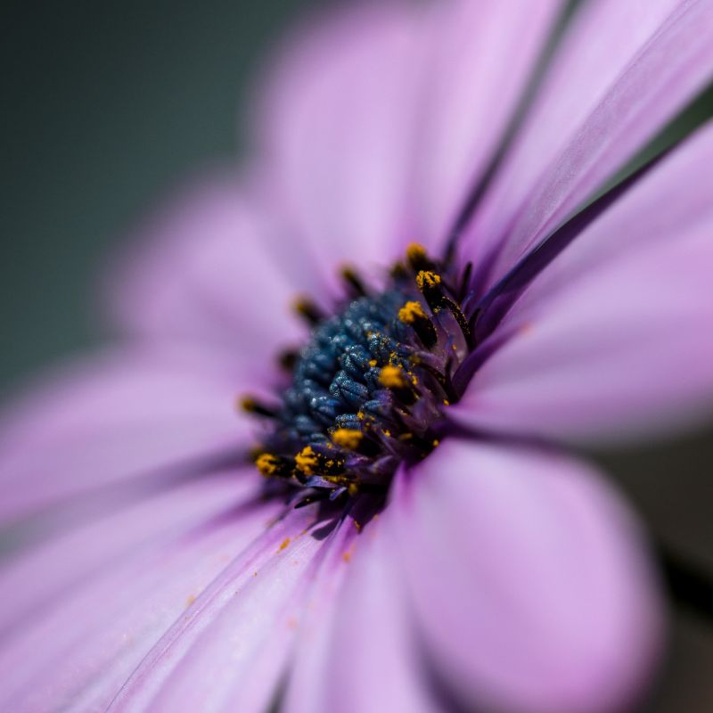 How to Make More of Your Garden