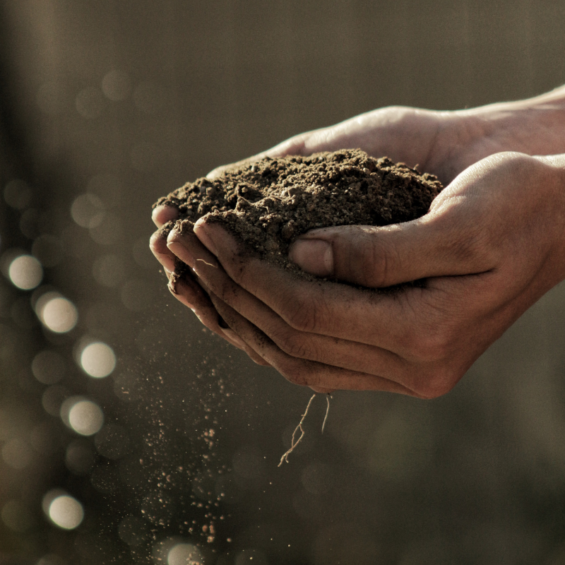 How to Make More of Your Garden