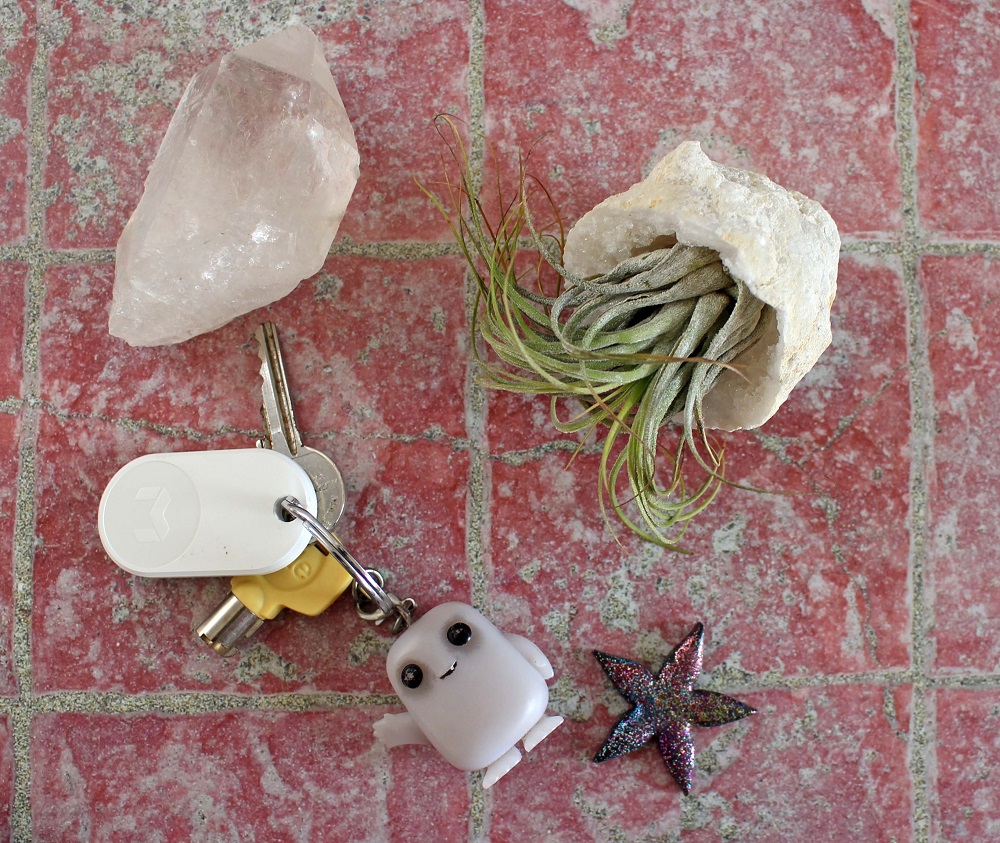 MYNT Tracker attached to keys with an adipose keyring, air plant, crystal and star around