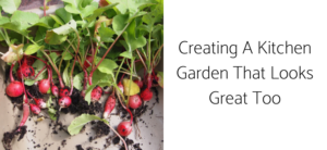 Creating A Kitchen Garden That Looks Great Too