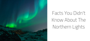 Norther Lights Header