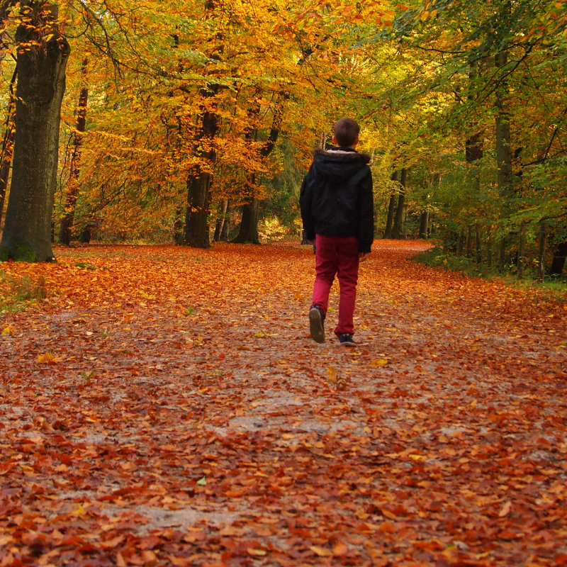 Picture of Person Stood in a Forest.