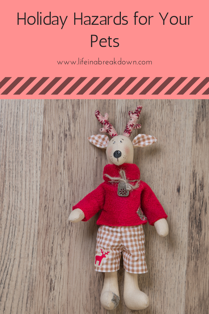 Holiday Hazards for Your Pets