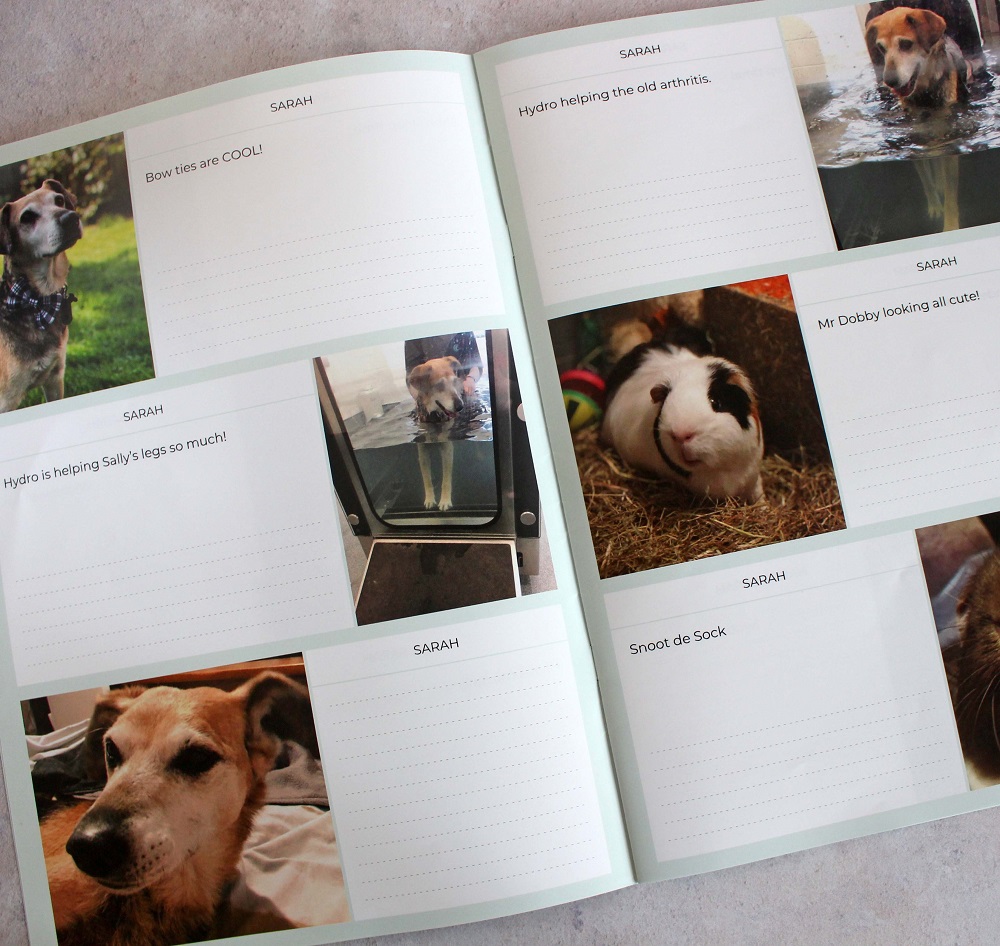 An open Neveo photo book showcases charming images of a dog in a bow tie, swimming, and standing on a treadmill, while a curious guinea pig peeks out. Each photo includes captions with space for personal notes.