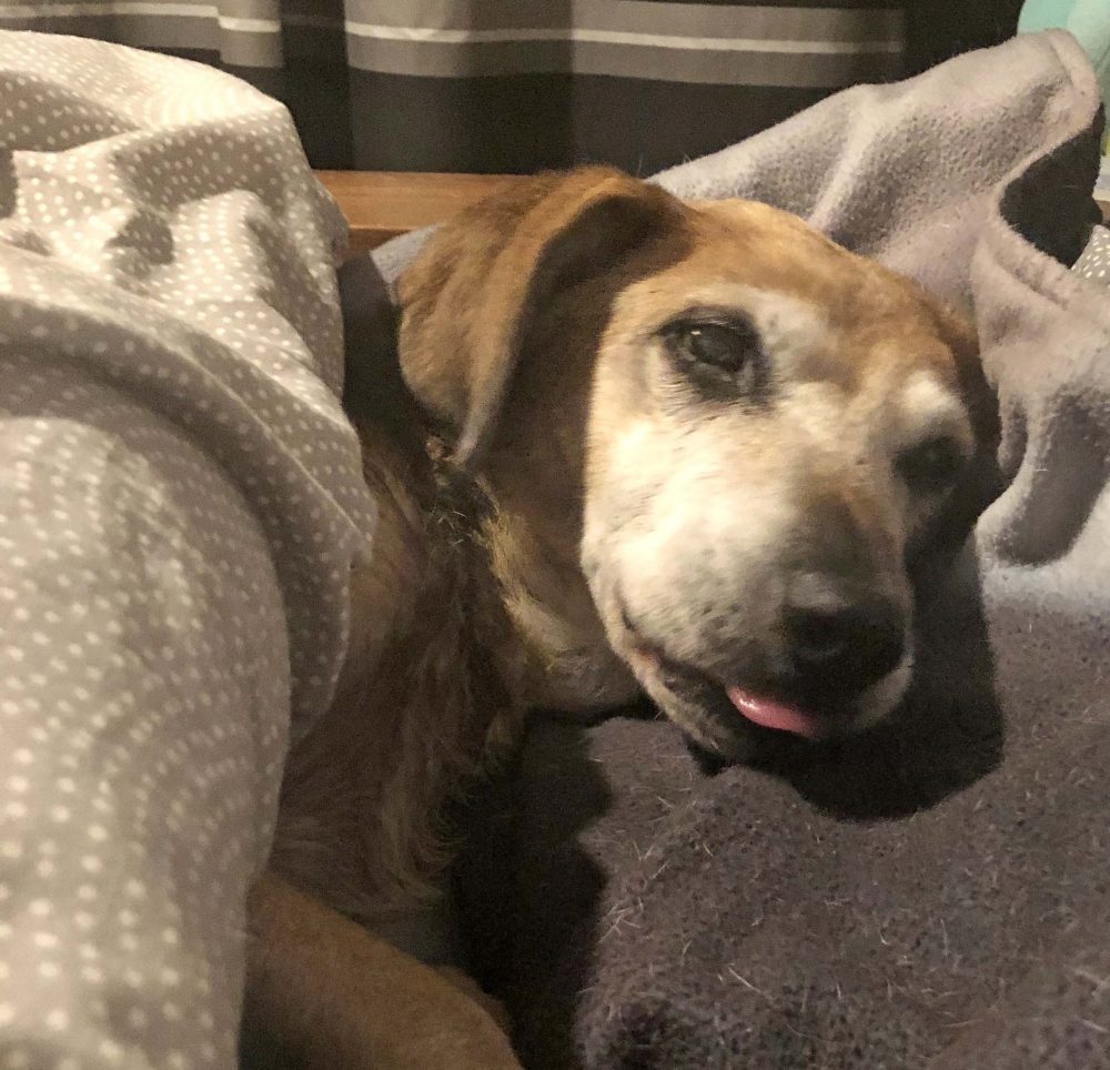 Sally blep