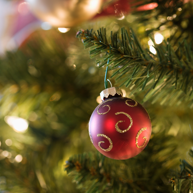 Red Christmas bauble hanging on a tree