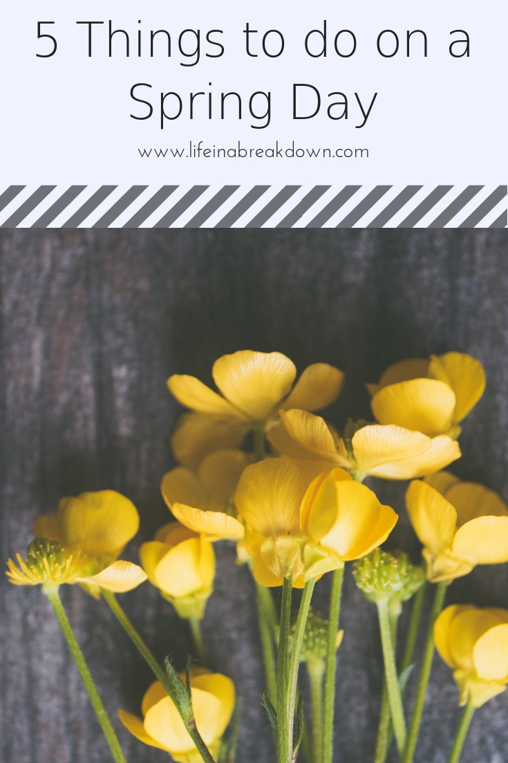 5 Things to do on a Spring Day Pin