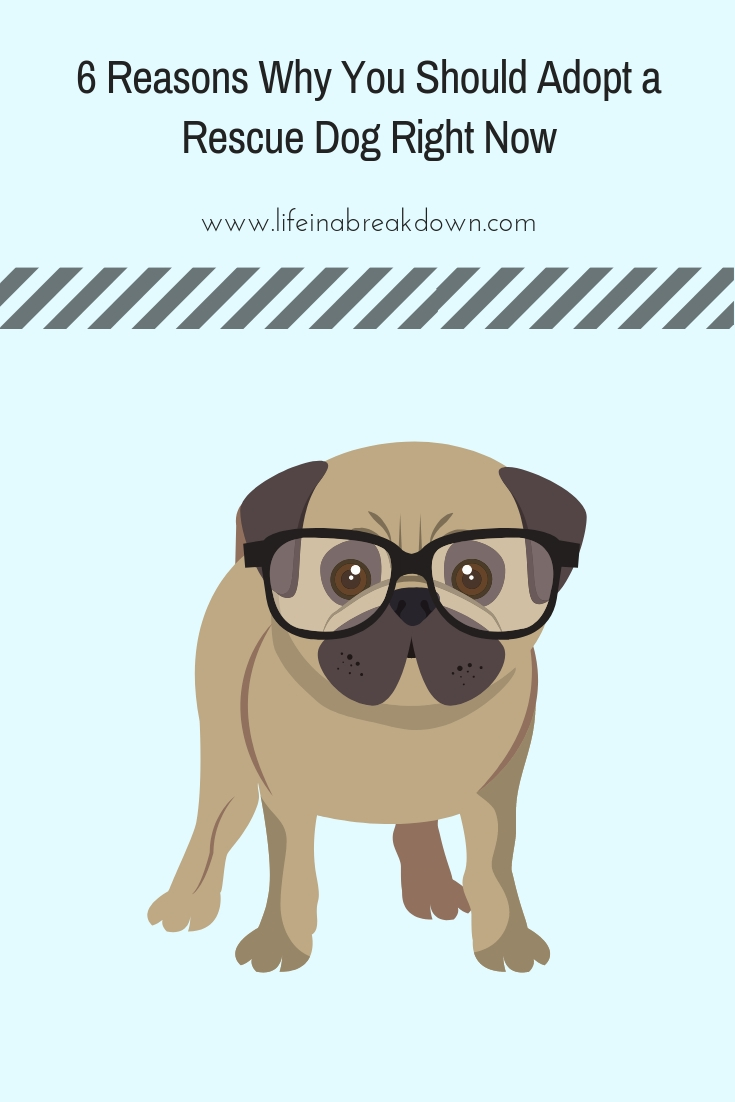 6 Reasons Why You Should Adopt a Rescue Dog Right Now Pin Image