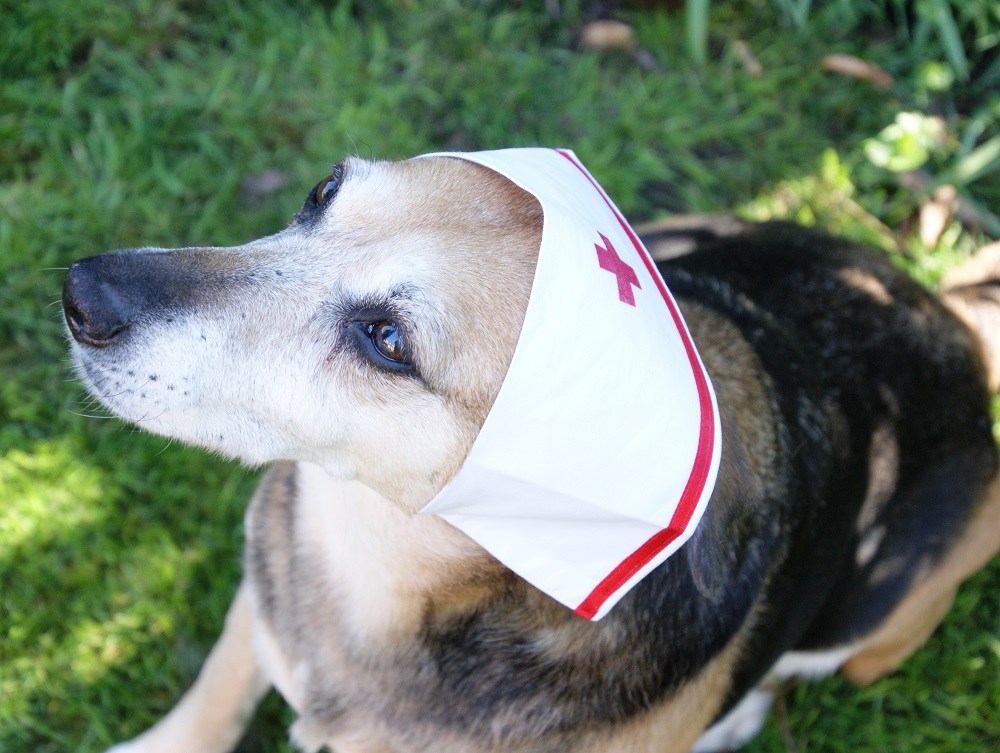 Sally with a nurses hat on