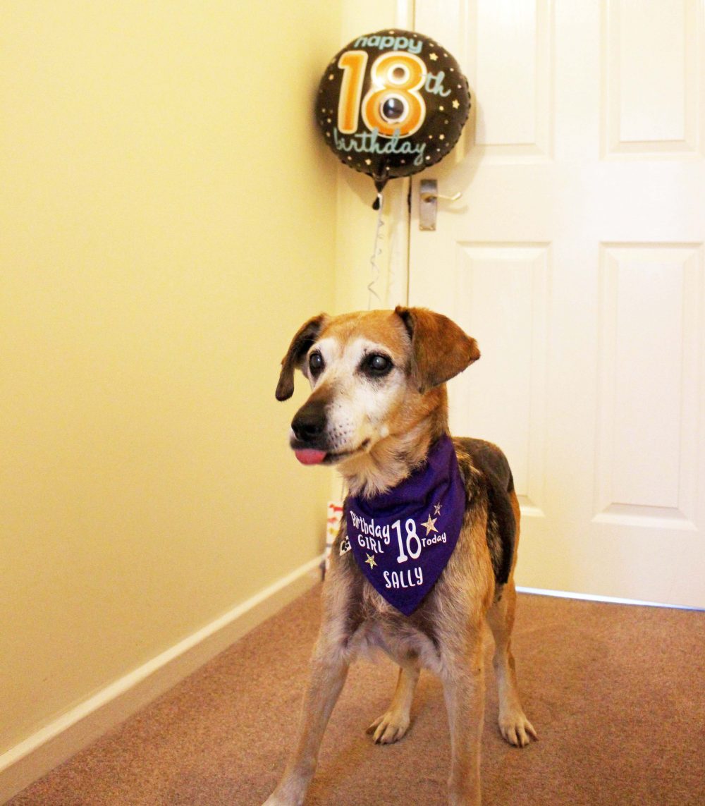 Sally Celebrating her !8th Birthday wearing a purple bandana and a has a balloon behind her