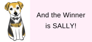 And the winner is sally pin image