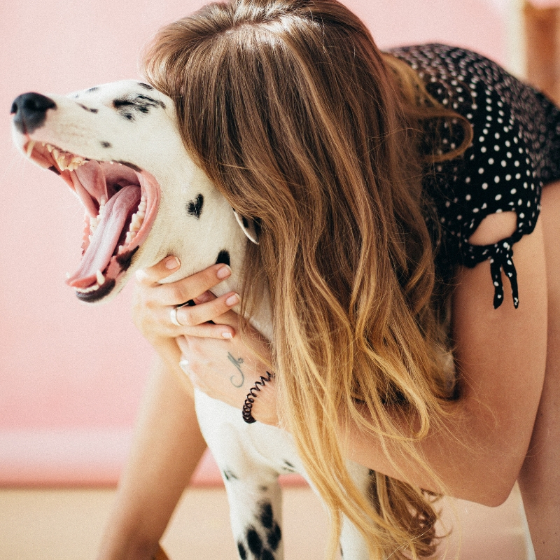 lady giving a dog a hug