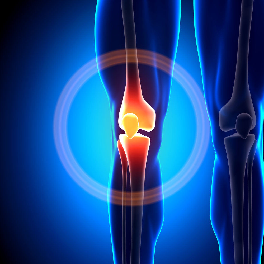 Picture of the knee joint