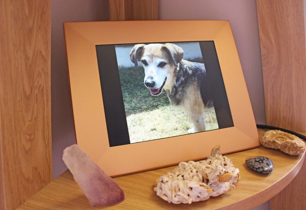 Photo of the Nixplay Iris in Use