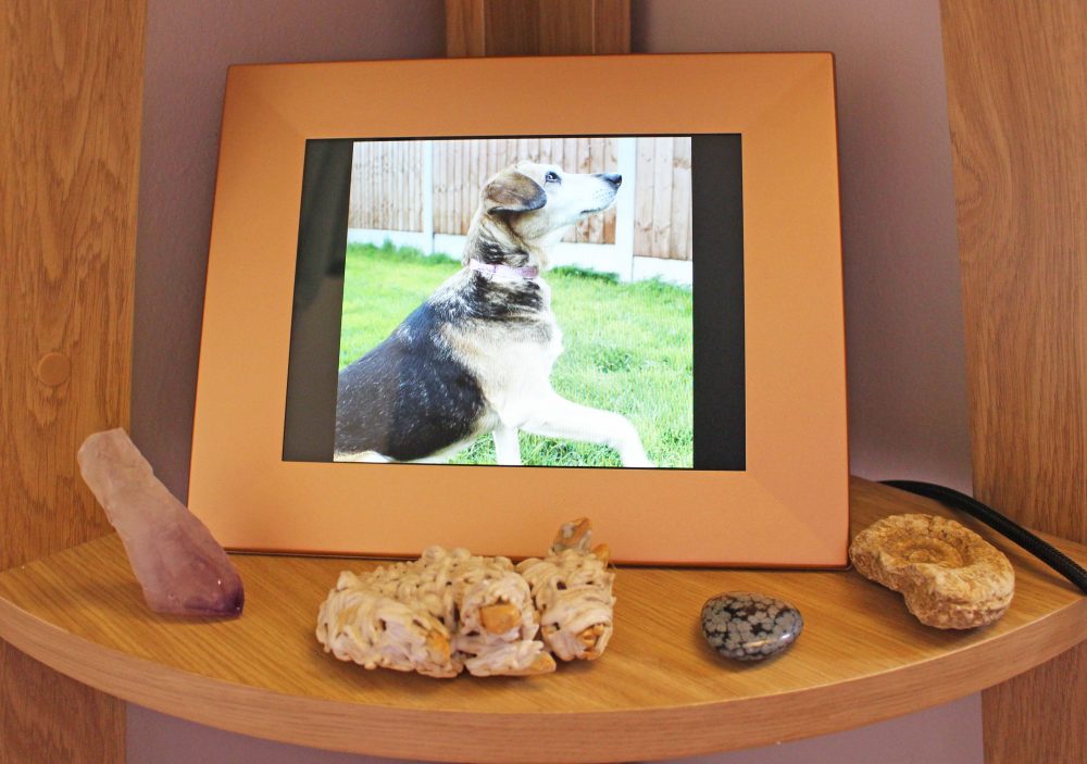 Photo of the Nixplay Iris in Use