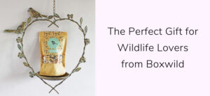 The Perfect Gift for Wildlife Lovers from Boxwild Header Image