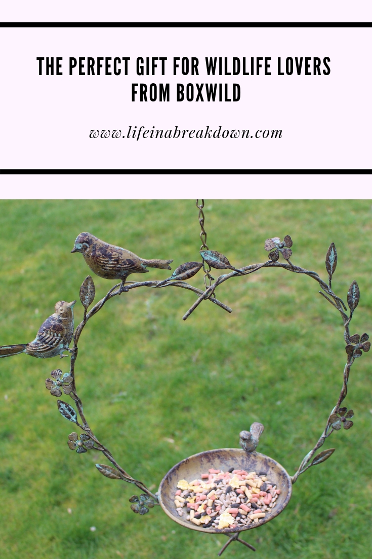 The Perfect Gift for Wildlife Lovers from Boxwild #Nature #Birds #BirdFeeder #Garden #InTheGarden