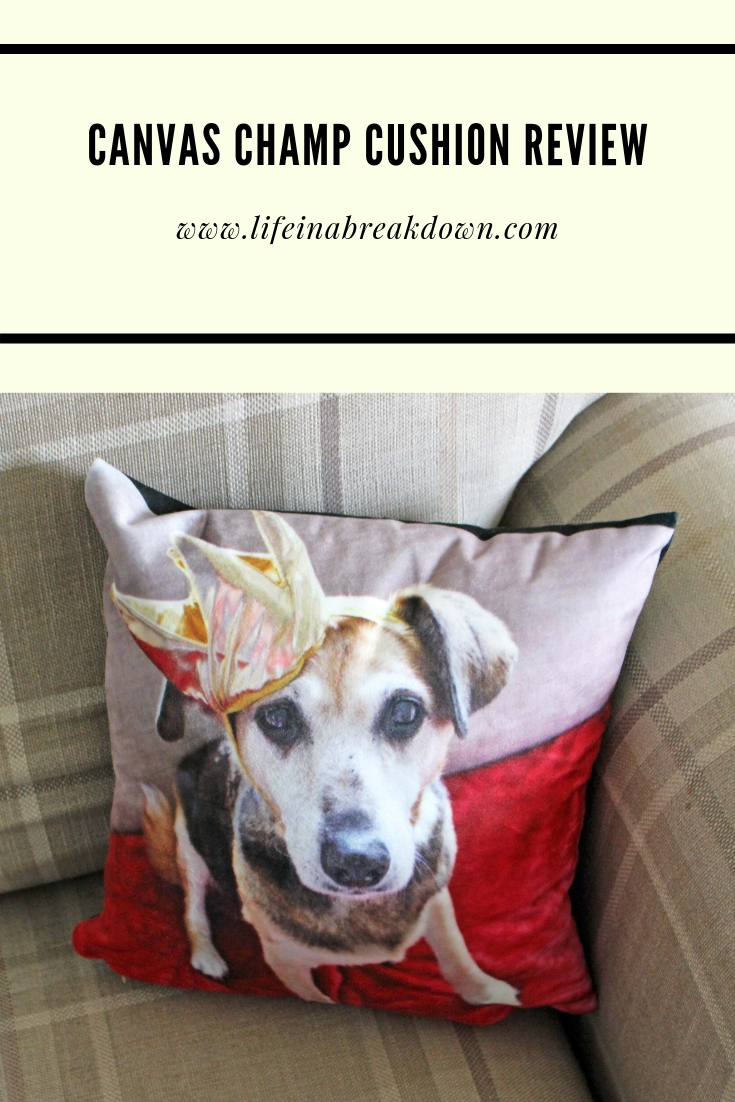 Cushion from Canvas Champ which Features Sally Dog #personalised #personalisedgift #giftideas #homedecor