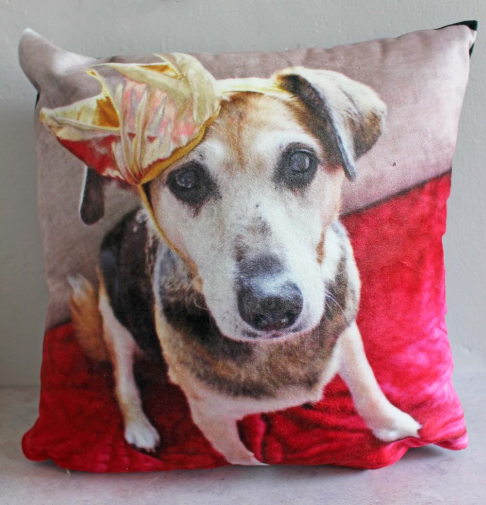 Cushion from Canvas Champ which Features Sally with her Crown on