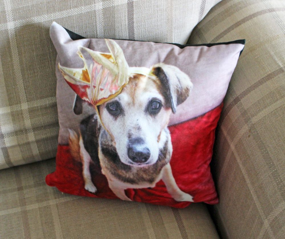 Cushion from Canvas Champ which Features Sally with her Crown on