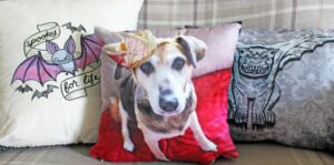 Three pillows are on a plaid sofa. The left pillow features a bat with a spooky for life banner. The middle pillow has a dog with a floral headband. The right pillow shows a gothic-style gargoyle design.