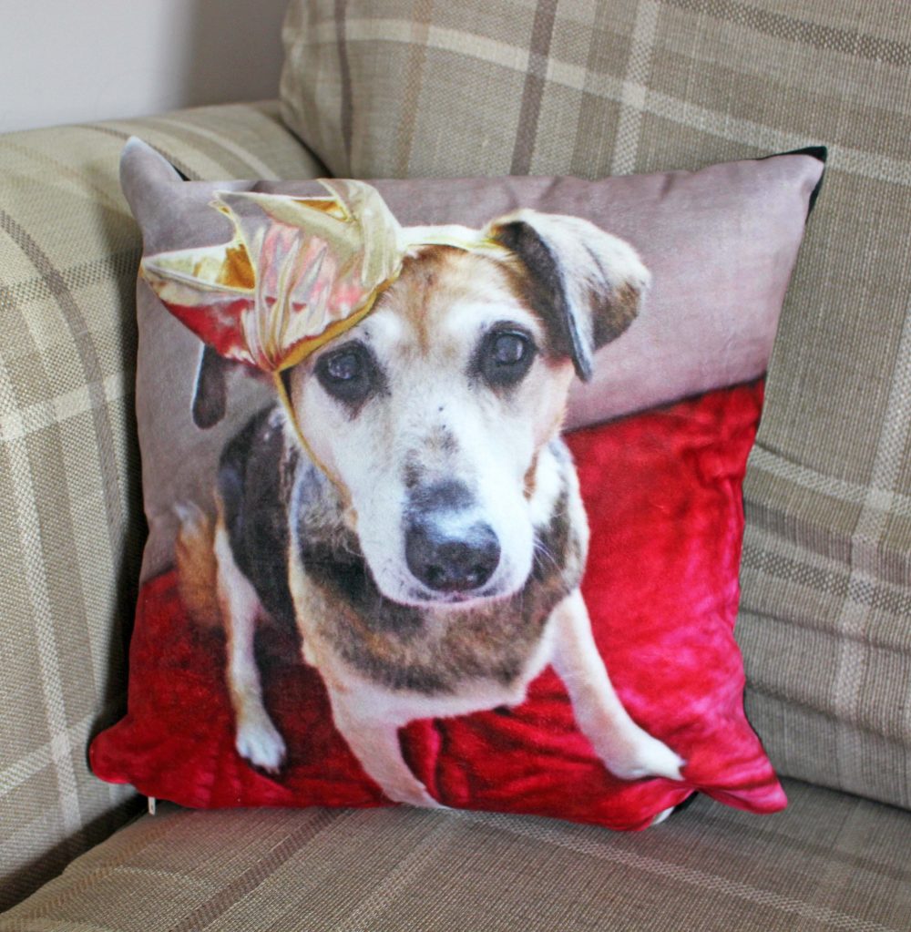 Cushion from Canvas Champ which Features Sally with her Crown on