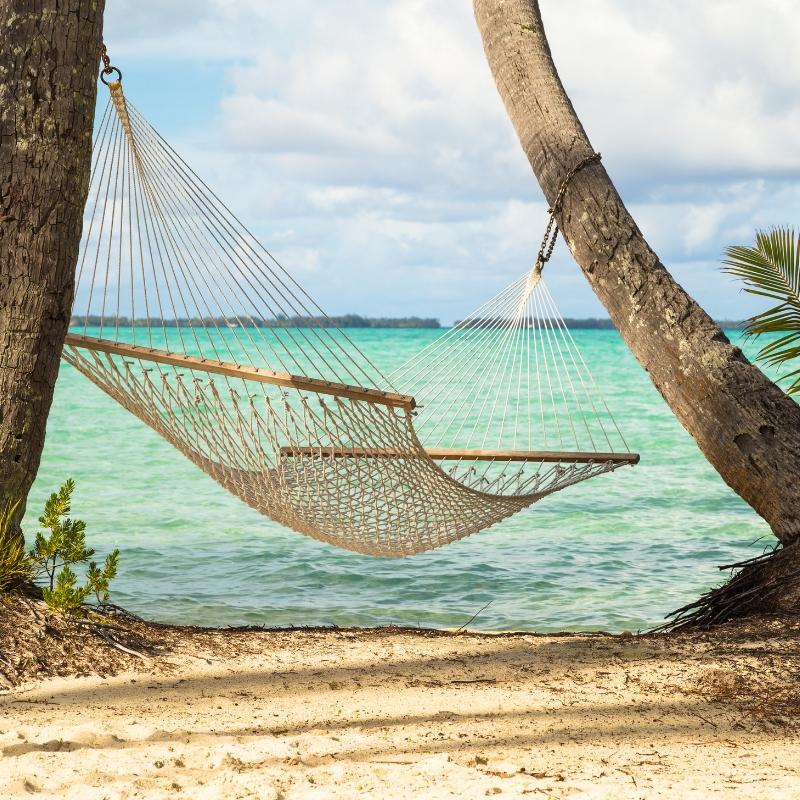 hammock sitting on the shore