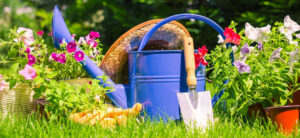 watering can surrounded by flowers and garden tools