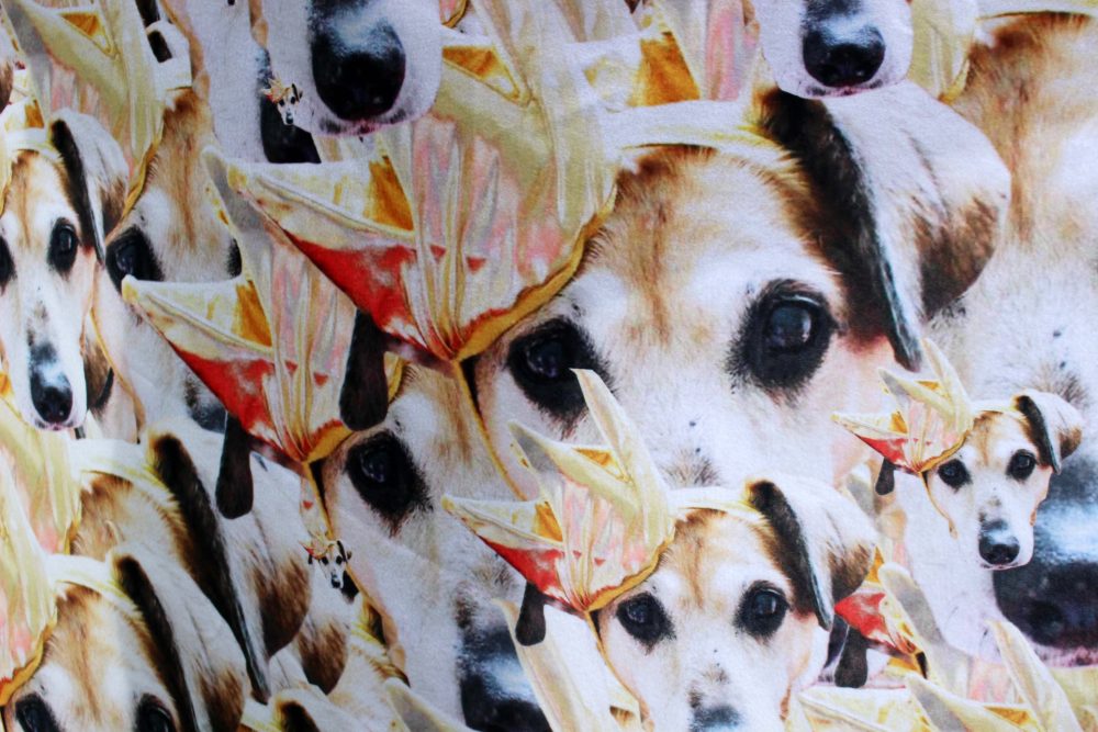Your Faces, face hooded towel with Sally dog on it in her golden crown close up