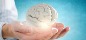 person holding an image of a brain in their hands