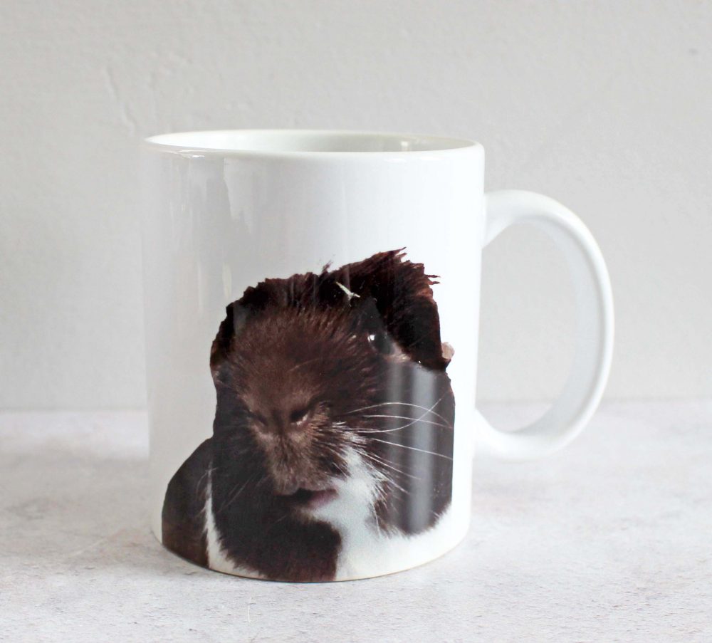 sock the guinea pig on a mug