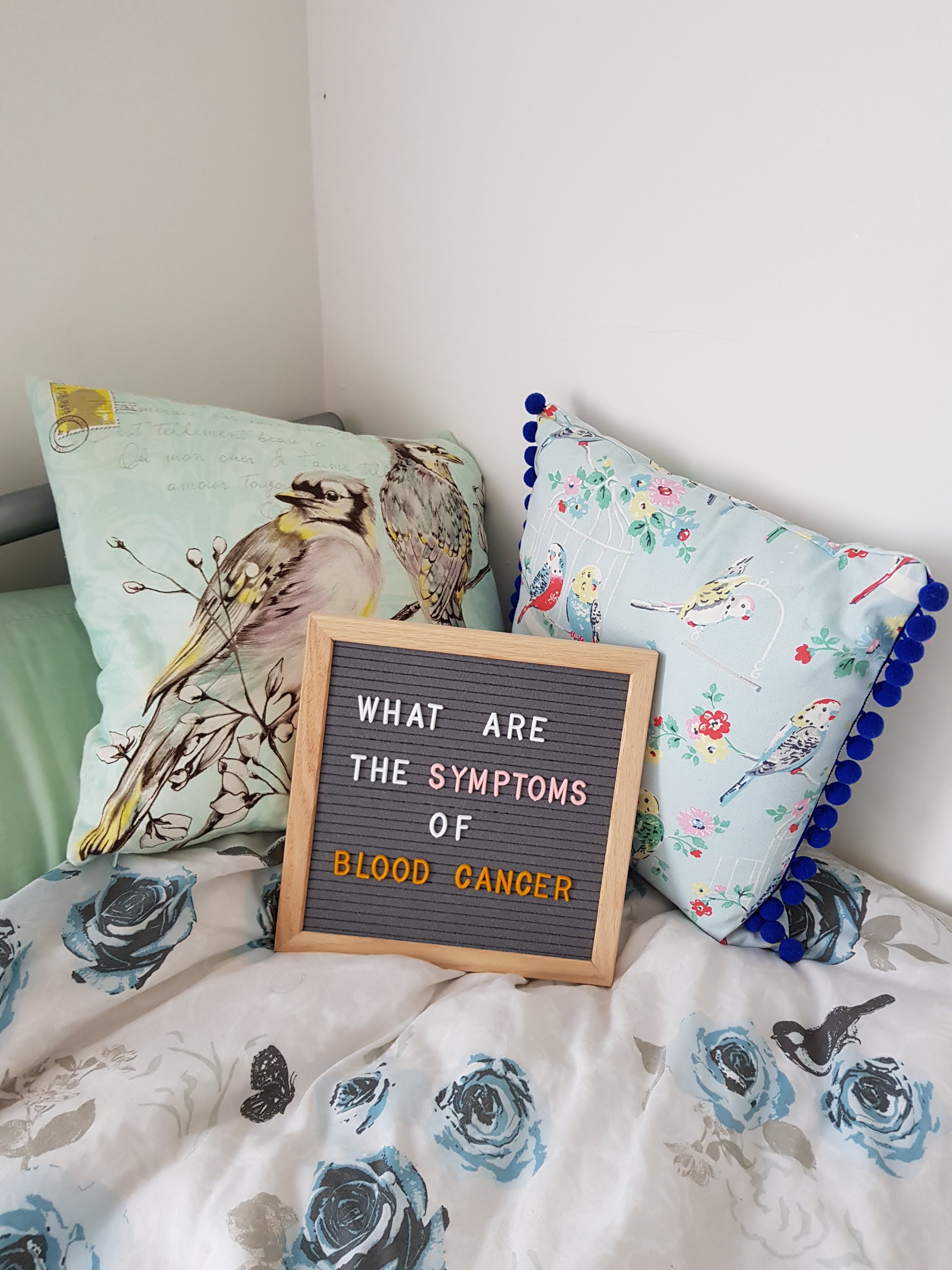 Pin board laying on cushions reading what are the symptoms of blood cancer