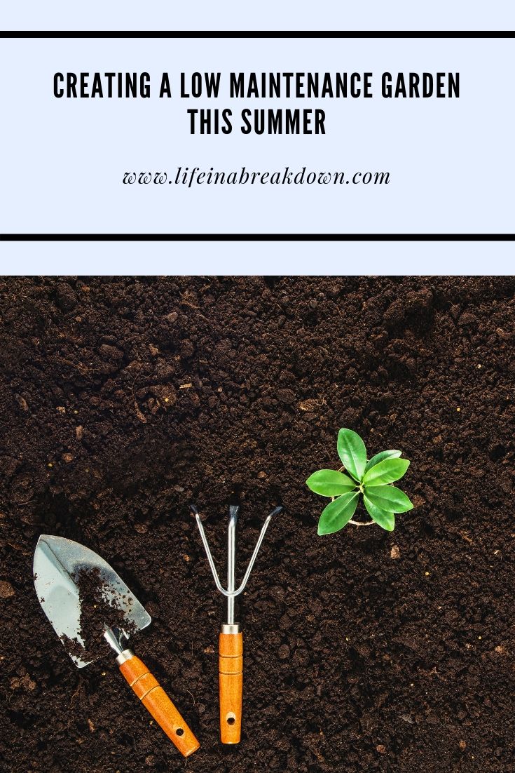 Creating a Low Maintenance Garden This Summer Pin Image