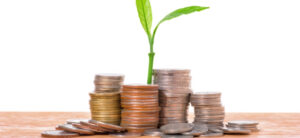 money with a small plant growing in the middle