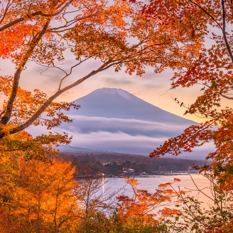 mt. fuji japan in autumn