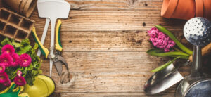selection of different gardening items