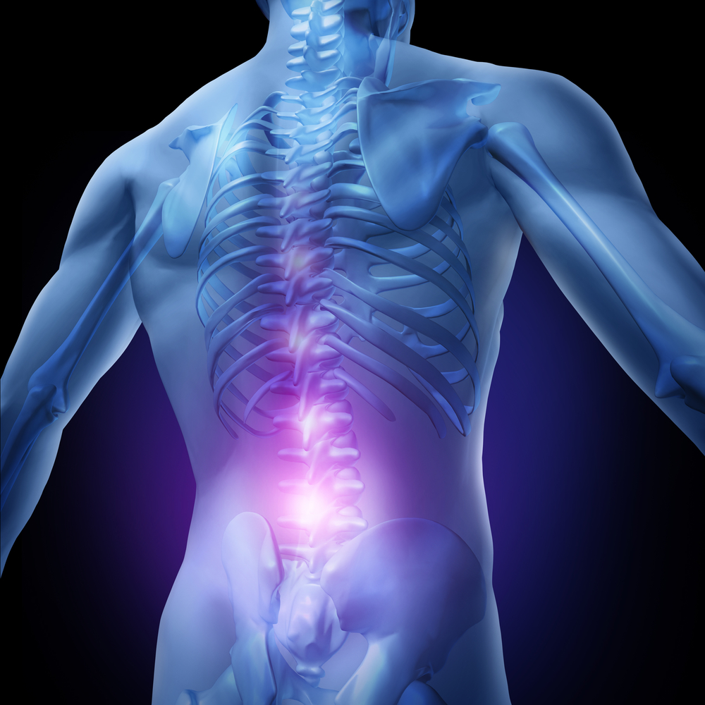 Lower back pain and human backache with an upper torso body skeleton showing the spine and vertebral column in glowing highlight as a medical health care concep