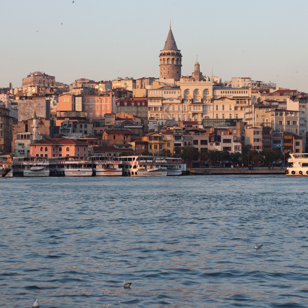 Looking at land from the sea