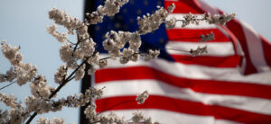 Branches of white cherry blossoms in the foreground with a blurred American flag waving in the background. The sky is overcast, providing a soft backdrop to the scene.