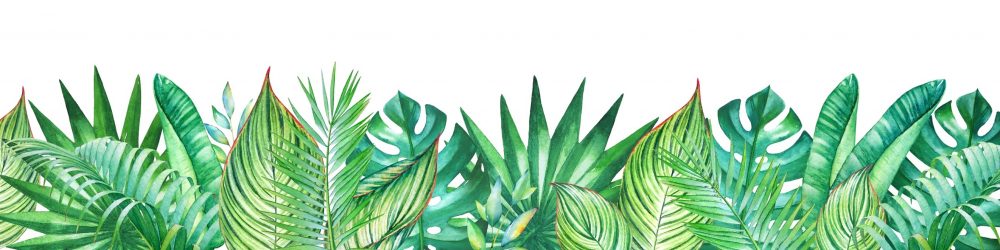 foliage boarder