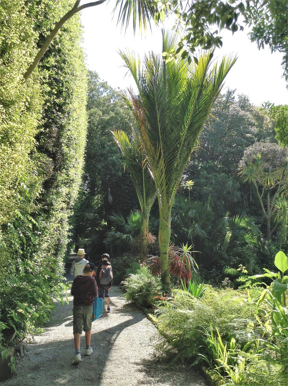 Tresco Abbey Gardens